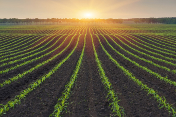 Эрозия почвы в кукурузном поясе США оказалась сильнее ожидаемой